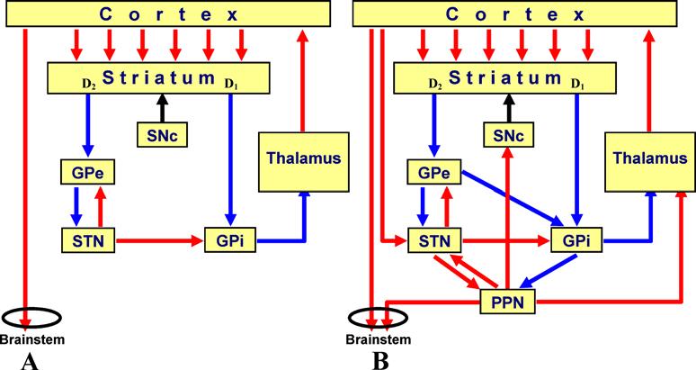 276 replace thalamotomy in the treatment of tremor (Benabid et al. 1987, 1989).