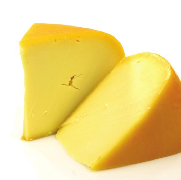 CHEESE SERY Cagliata (48% fat in dry matter) Rennet cheese produced from pasteurized milk of standardized fat content, intended for melting.
