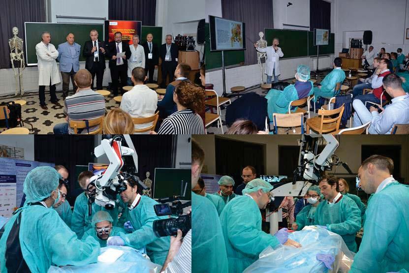 On November 3rd 2017, practical part of the Course - cadaveric dissections were held at Institute for Anatomy, School of