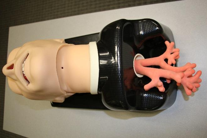 TruCorp AirSim Advance Bronchi Airway Heads The TruCorp AirSim Advance Bronchi trainer provides a correct anatomical representation of the bronchial tubes.