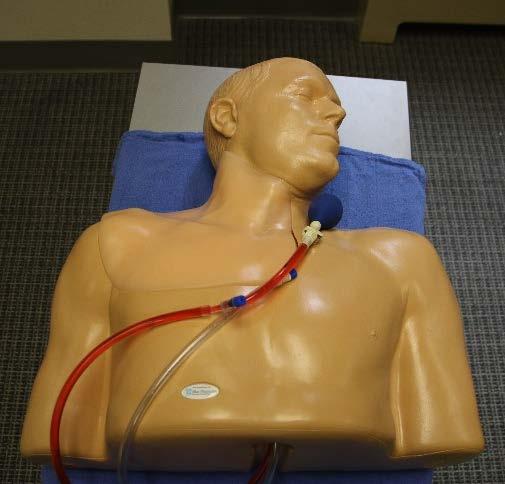 Blue Phantom Ultrasound Central Line Training Model The Blue Phantom Central Line Trainer allows individuals to learn the techniques of ultrasound guided or blind placement central line placement in