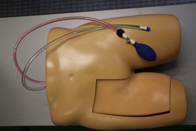 Blue Phantom Femoral Vascular Access Training Model The Blue Phantom Femoral Vascular Access Trainer is a lower torso central venous access model that allows for the practice of ultrasound guided