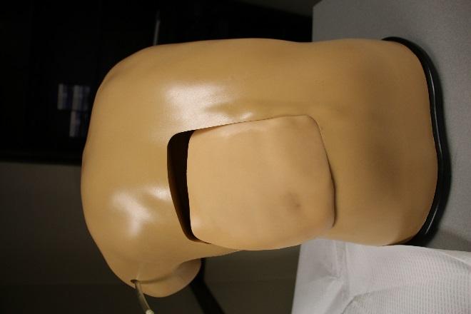 Blue Phantom Thoracentesis Ultrasound Training Model The Blue Phantom Thoracentesis Ultrasound Trainer is a thorax training model that extends from the top of the shoulder to the top of the buttock.