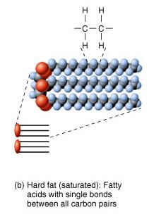 Fats Fatty acids can be saturated
