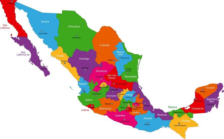 Introduction Nuevo Leon is a state located at Northeast Mexico Population (2016) 5 million Births: 90,000 /year.