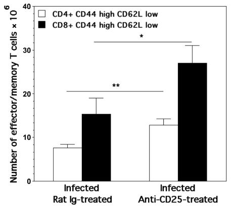 CD25 and resistance to T. cruzi infection 131 Fig. 2. In vivo treatment with nondepleting antibody to CD25 molecules in Swiss mice infected with the Colombian strain of T.