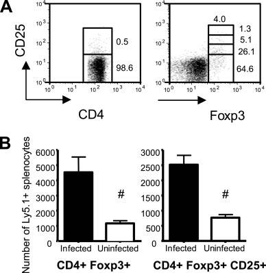 4142 ANTI-CD25 ANTIBODIES FAIL TO DEPLETE REGULATORY T CELLS FIGURE 5. Repopulation of CD4 CD25 Foxp3 cells is accelerated during acute malaria infection. Mice received one injection i.p. on day 0 with 0.