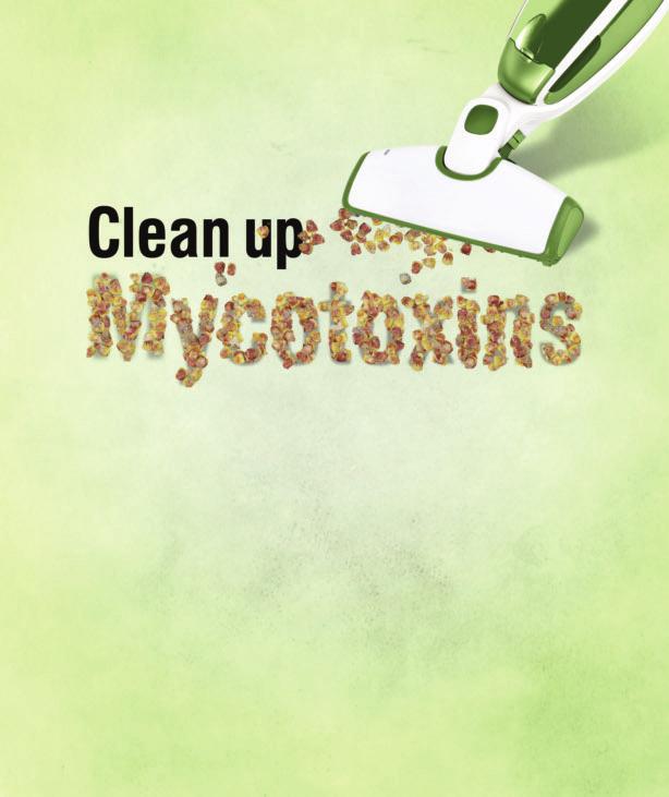 with the # 1 mycotoxin sequestering agent Feeding Mycosorb, from Alltech, reduces mycotoxin absorption within the animal, thereby negating the damaging effects of mycotoxins on the health of your