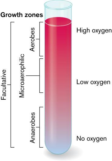 Oxygen-related growth