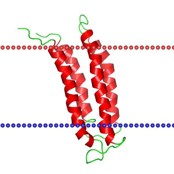 Inside membrane Cytoplasm Nicotinic acetylcholine