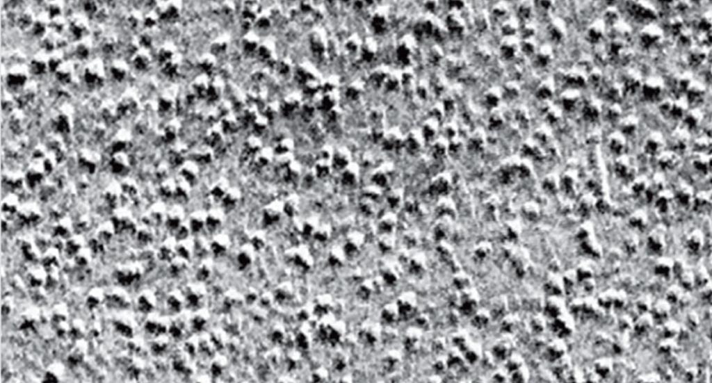 ü Freeze-etched electron micrographs: This technique involves reducing the cells temperature to freezing very quickly and fracturing the cells.