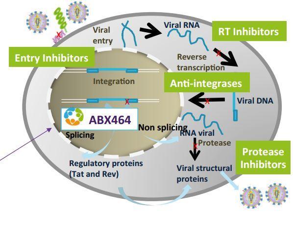 Platform for generation of antiviral compounds. So it seems a lot of the value might be on these antiviral programs and the platforms, and not so much on the now-failing Hepatitis candidate.