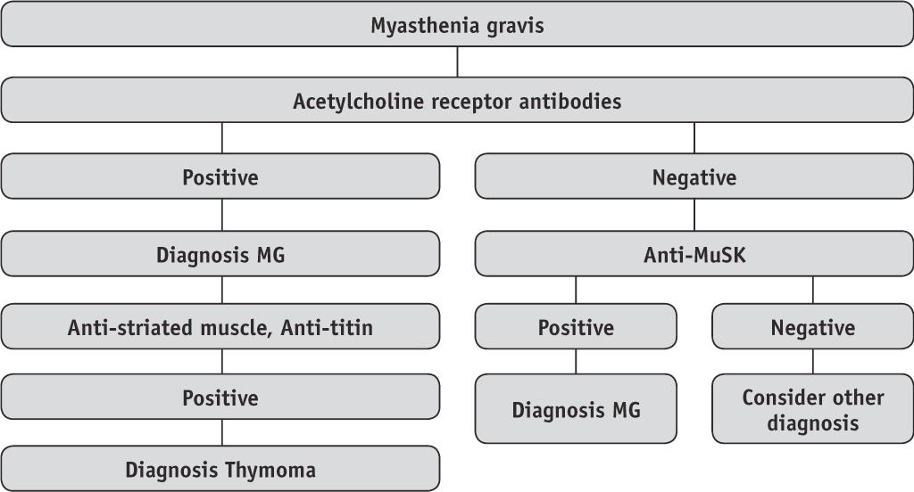 Treatment of Myasthenia Gravis Acetylcholinesterase inhibitors Pyridostigmine [Mestinon].