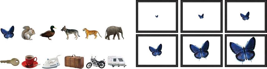 Aesthetic preferences in the size of images of real-world objects 293 (a) (b) Figure 1. [In color online, see http://dx.doi.org/10.1068/p6835] Examples of images used in experiment 1.