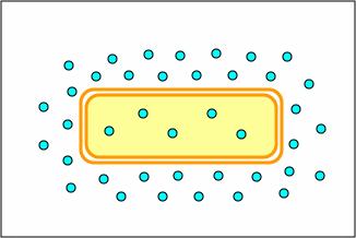 DIFFUSION across a membrane Happens anytime there is a DIFFERENCE in concentration on one side of the membrane