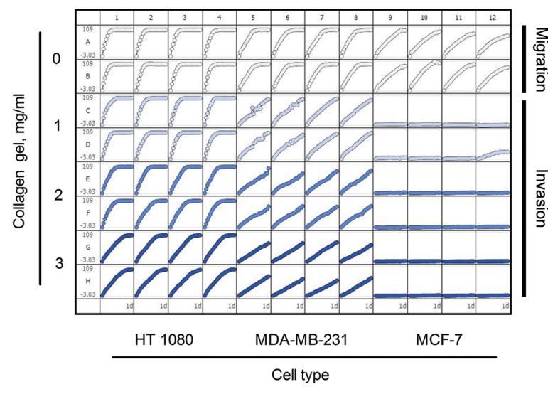 4 CellPlayer 96-Well Kinetic Cell Migration and Invasion Assays Roddy, Nelson, Appledorn, and Groppi CV = 3.5% CV = 9.0% Figure 5.