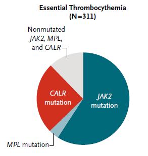 Case 3 - Diagnostics JAK2 V617F mutation negative BCR/ABL negative CALR positive Bone Marrow - increased