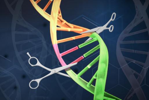 Wht is genome engineering?