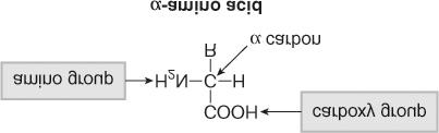 Some other acids with common names Diacids Oxalic Malonic Succinic Phthalic HOOC-COOH HOOC-CH 2 -COOH HOOC-CH 2 CH 2 -COOH COOH COOH Hydroxyacid Lactic acid (S)-2-hydroxypropanoic acid Amino Acids
