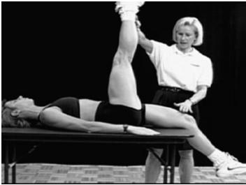 Direct measurements expressed in degrees: indirect assessments (from field tests) are recorded in centimeters or inches) Hip Flexion Test (Hamstring