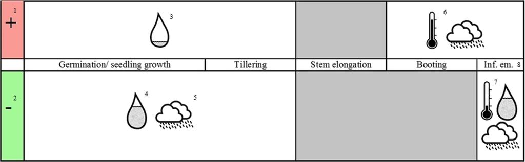 growth and tillering, and with warm (T > 12 C, around/ warmer than normal for that period) and wet conditions during booting and inflorescence emergence (Fig. 3).