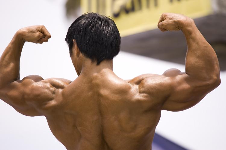 408 CHAPTER 10 MUSCLE TISSUE fibers result in powerful muscle contractions.