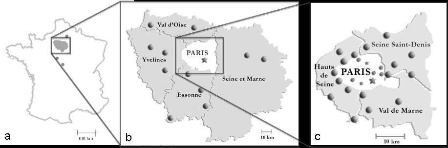 The mobile ECMO rescue team Centres Patients Median distance Median time N (%) (range), Km (range), min Paris urban agglomeration (7 centres) 25 (29) 4 (4-18) 4