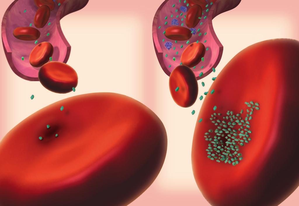 What is Glycated Hemoglobin (HbA1C)?