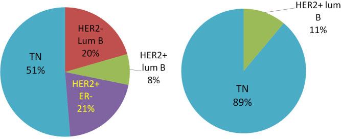 We describe here that LPBCs by our definition did not contain any well-differentiated, luminal A-like subtype or histological grade 1 tumors and that LPBCs were closely associated with poorly