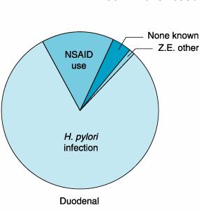 H Pylori + DU Urea breath test Serologic testing Bx +Histology : gold standard Eradication: