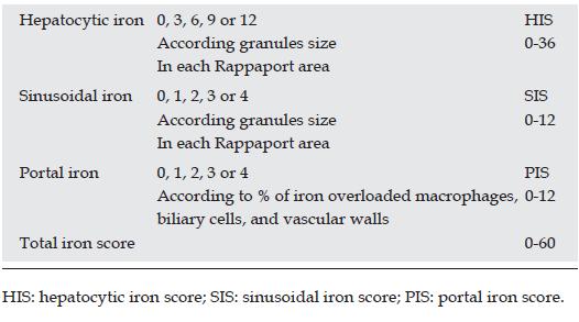 Iron stain: interpretation Grading of iron overload Patterns of hepatic iron overload Modified Scheuer grading scheme Grade Grade 0 Grade 1 Grade 2 Grade 3 Grade 4 Definition Granules