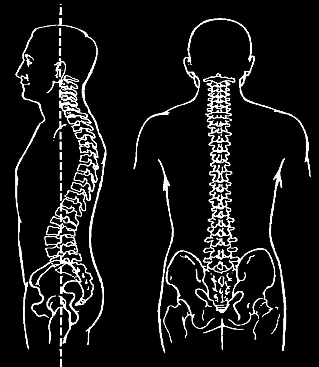 Spinal Cord Injury A Guide for Patients & Families If you have suffered a spinal cord injury, you are not alone in this often long and frustrating journey.