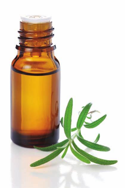 Using Essential Oils for Enhanced Wellness: PW An