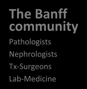 The Banff Process Consensus communication in renal