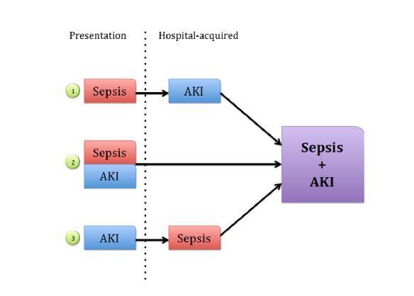 Acute renal failure in sepsis