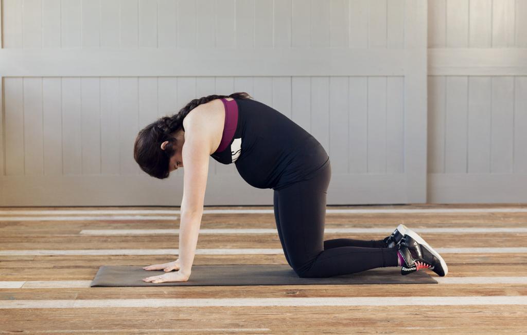 TWO POINT KNEELING Begin by lifting your opposite arm and leg. Activate your core to stabilize your body.