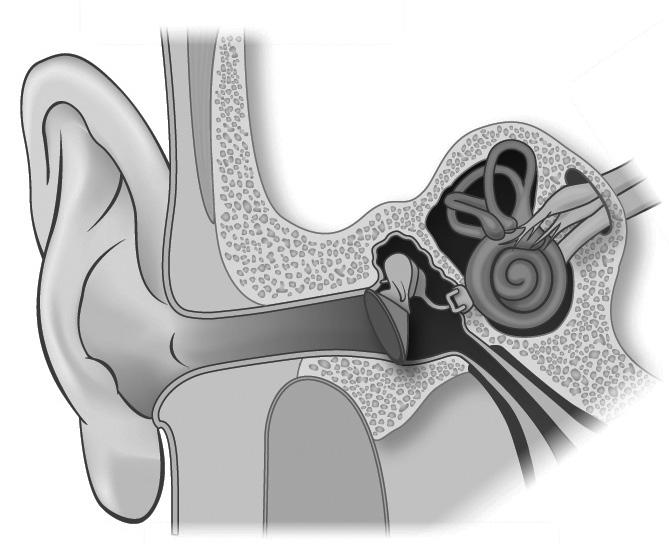 Inner Ear Disorders Information for patients and families Read this booklet to learn about: What are inner ear disorders Symptoms Tests you may need Treatment options Please visit the UHN Patient