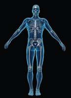 OsteoDenx<<<TM Bio-replenishment Technology for Bone Health Management Where better bones