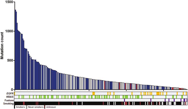 Shim et al. Journal of Thoracic Oncology Volume 10, Number 8, August 2015 FIGURE 4. Distribution of mutation counts in TCGA lung adenocarcinoma.