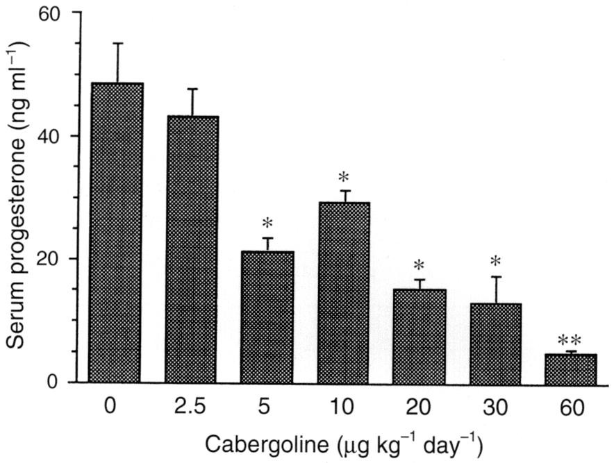 ) ) Table 2. Serum concentrations of progesterone in pregnant rats treated with cabergoline Cabergoline3 J (jig kg " 0 2.5 5 20 30 c0 x) Number of rats 6 Serum progesterone (ngml)b 48.6 ± 6.3 43.3 ±4.