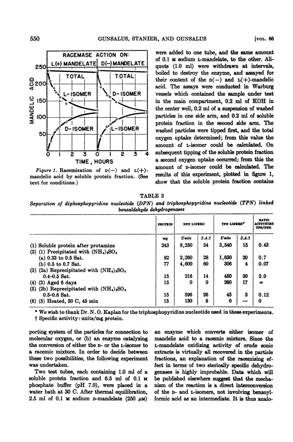 550 GUNSALUS, STANIER, AND GUJNSALUS [VOL. 66 TIME, HOURS Figure 1. Racemization of D(-) and L(+)- mandelic acid by soluble protein fraction. (See text for conditions.