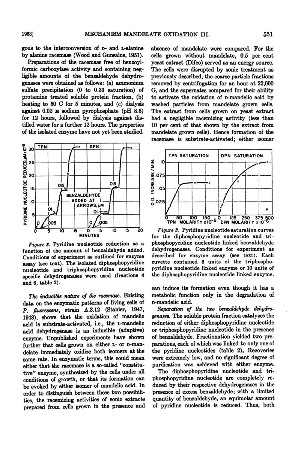 1953] MECHANISM MANDELATE OXIDATION III. 551 gous to the interconversion of D- and L-alanine by alanine racemase (Wood and Gunsalus, 1951).