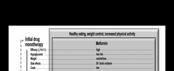 Patient Centered Approach Metformin recommended first line in the absence of contraindications Additional agents selected based on 5 domains Efficacy Risk of hypoglycemia Affect on weight Major side