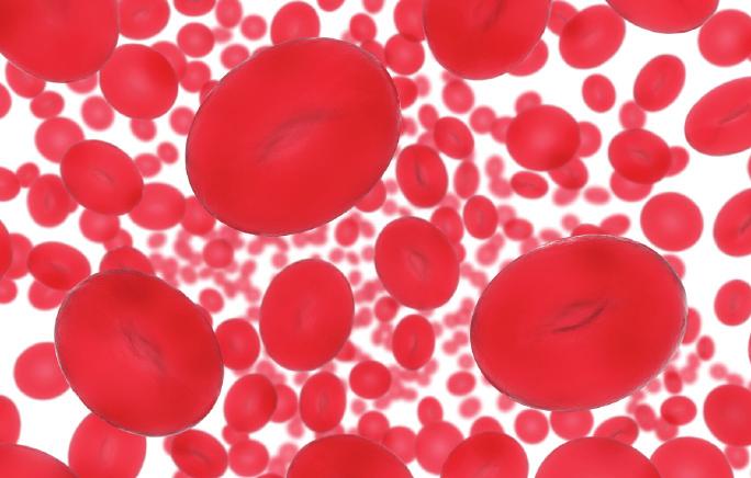 BLOOD AND ITS IMPORTANCE IN YOUR BODY Blood circulates throughout your body, taking oxygen and nutrients to your tissues and carrying away waste products.