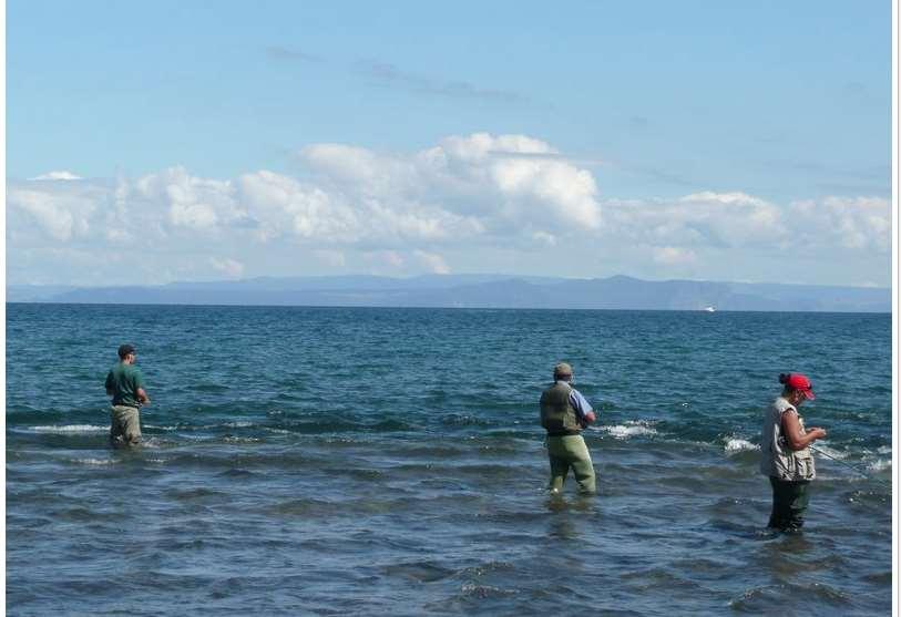 All the Lake Taupo Trout lesson plans and full data