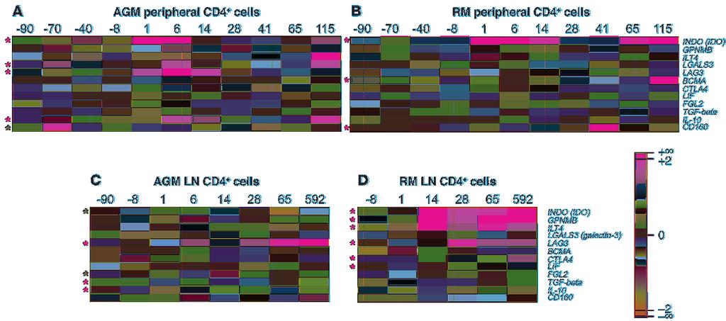 Figure 7 Microarray results for immunosuppressive genes in blood and LN CD4 + cells of SIVagm-infected AGMs and SIVmac-infected RMs.