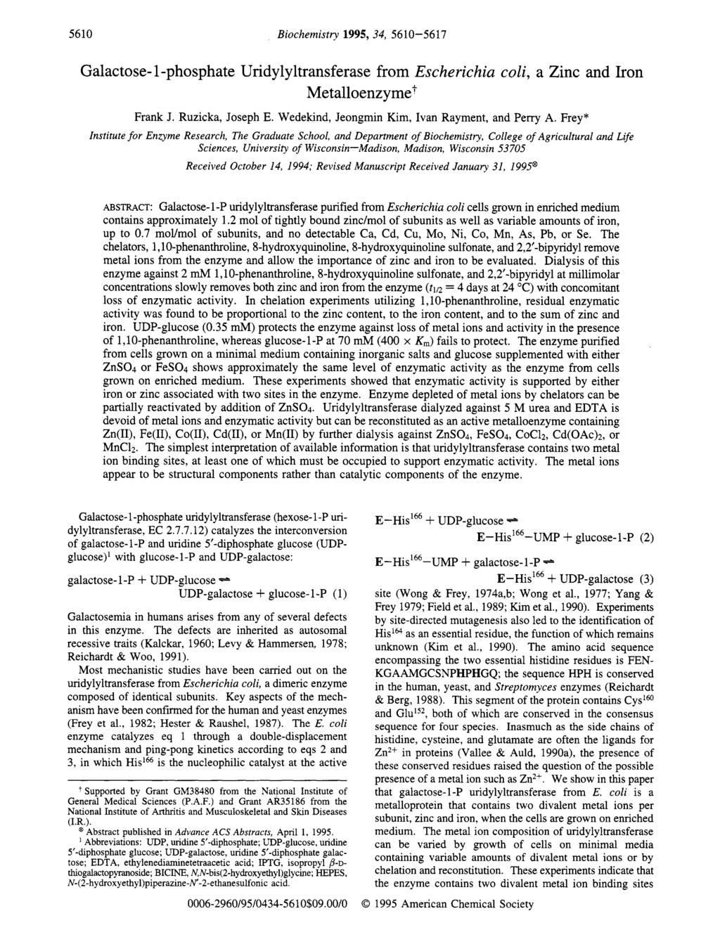 @ Abstract 5610 Biocemistry 1995,34, 5610-5617 Galactose- 1 -pospate ridylyltransferase from scericia coli, a Zinc and Iron Metalloenzyme: Frank J. Ruzicka, Josep.