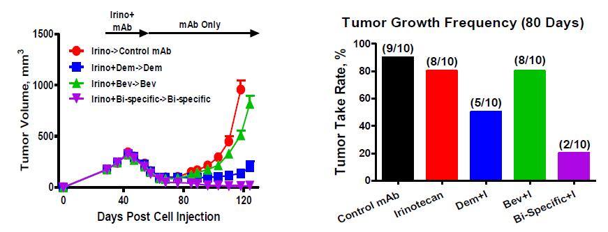 OMP-305B83: Anti-Tumor & Anti-CSC Bi-specific Antibody Delay Tumor Recurrence and Reduces Colon Cancer Stem Cell Frequency.