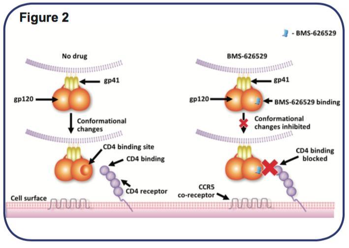 CD4 Attachment Inhibitor BMS-663068