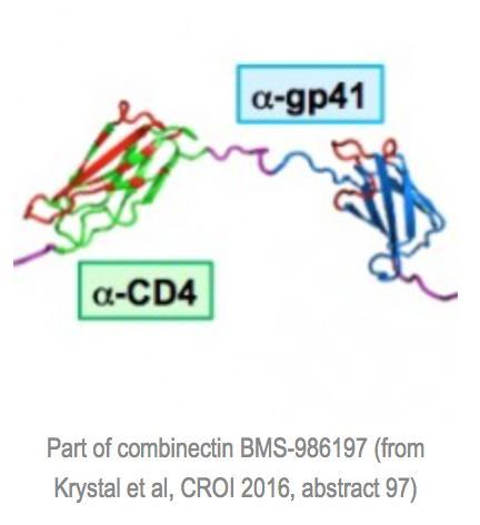 Combinectin 1. Anti-CD4 adnectin: allows binding to the receptor, but prevents conformational changes needed for binding to co-receptors 2.